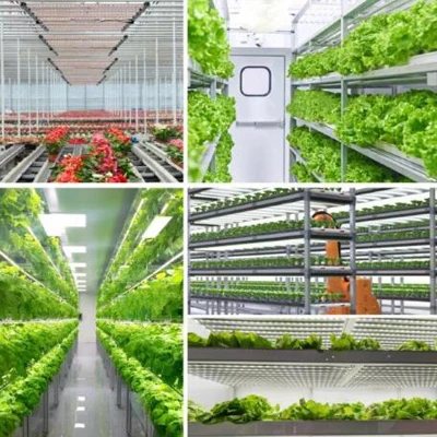 Barra di coltivazione a LED a LED Full Spectrum Vertical Farm